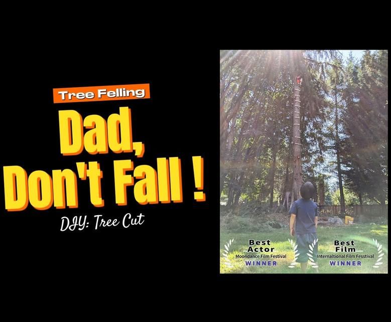 DIY: Build a Ladder and Cut the Tree - Removing Large Trees Near Fences ...