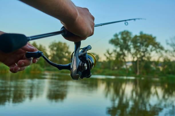commercial tuna fishing lures THKFISH 5.9in 1pc/3pcs Saltwater Popper Topwater Lures, 1PC-GREEN Cotton Cordell Red Fin SKU:SLX150XGA The Tuna Stud delivers Offshore Fishing Reel