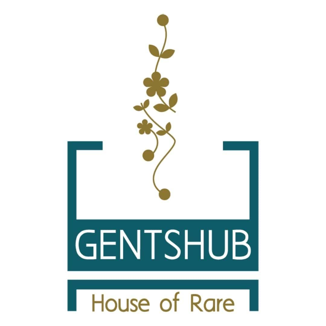 Instructables profile picture for @gentshub