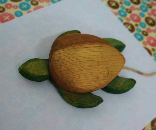 Wood Turtle