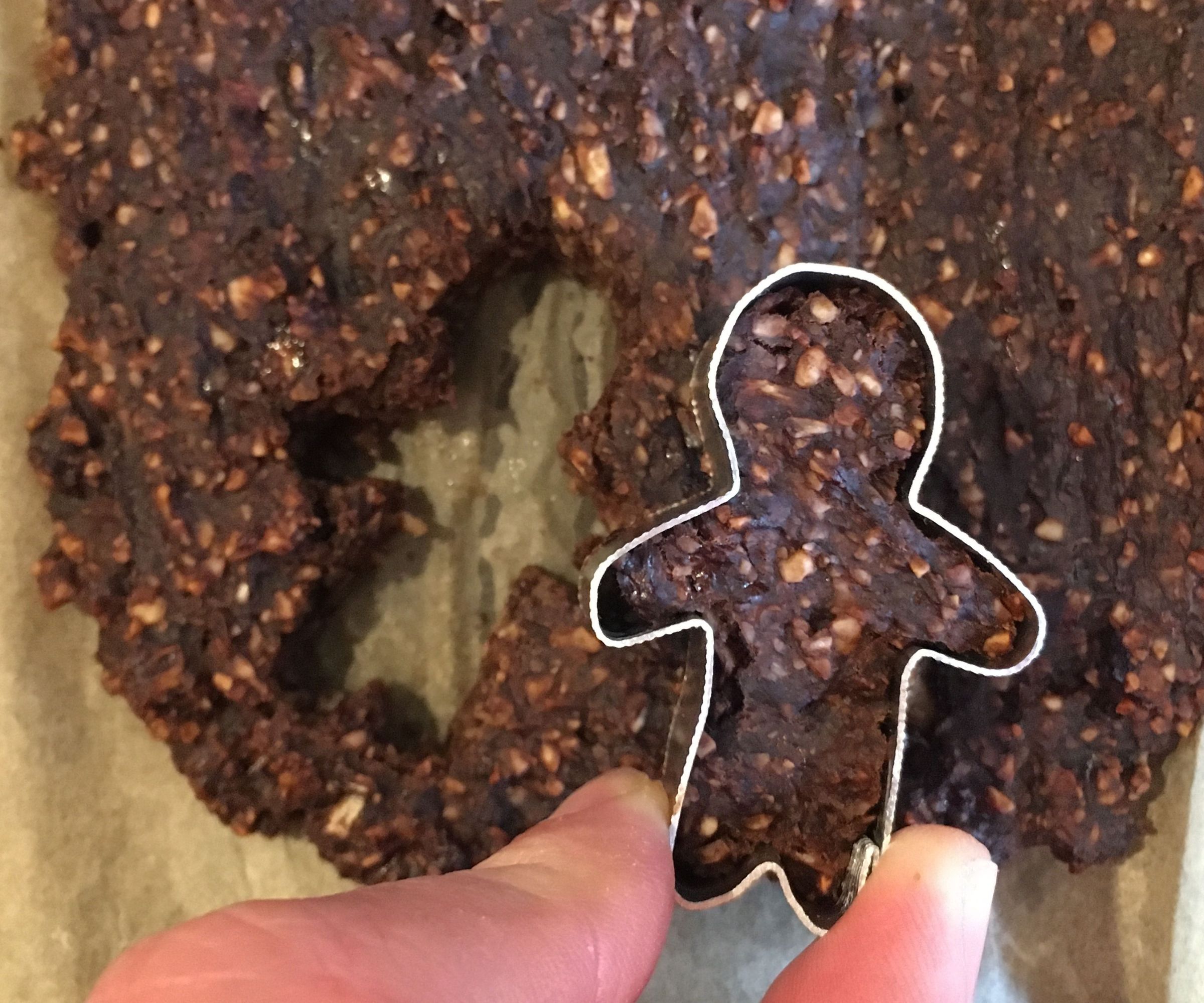 The Impossible Brownie - a Yummy Alternative (despite No Gluten, Dairy, Raising Agents, Processed Sugar or Oil) to Chocolate Brownies