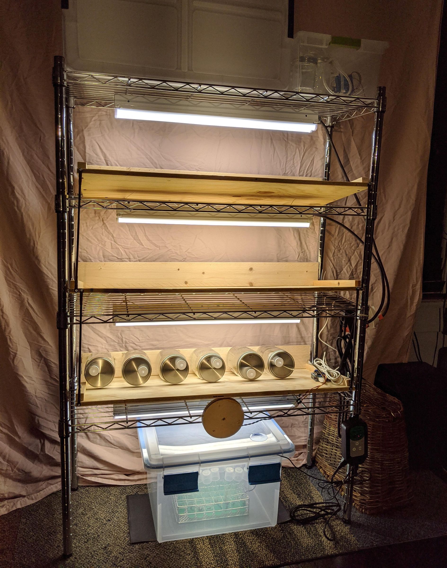 Tipping Shelf Temporary Immersion Micropropagation Apparatus