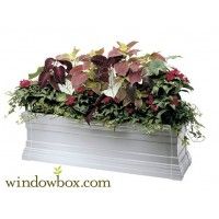 Lovely Window Boxes for Your Home Improvement