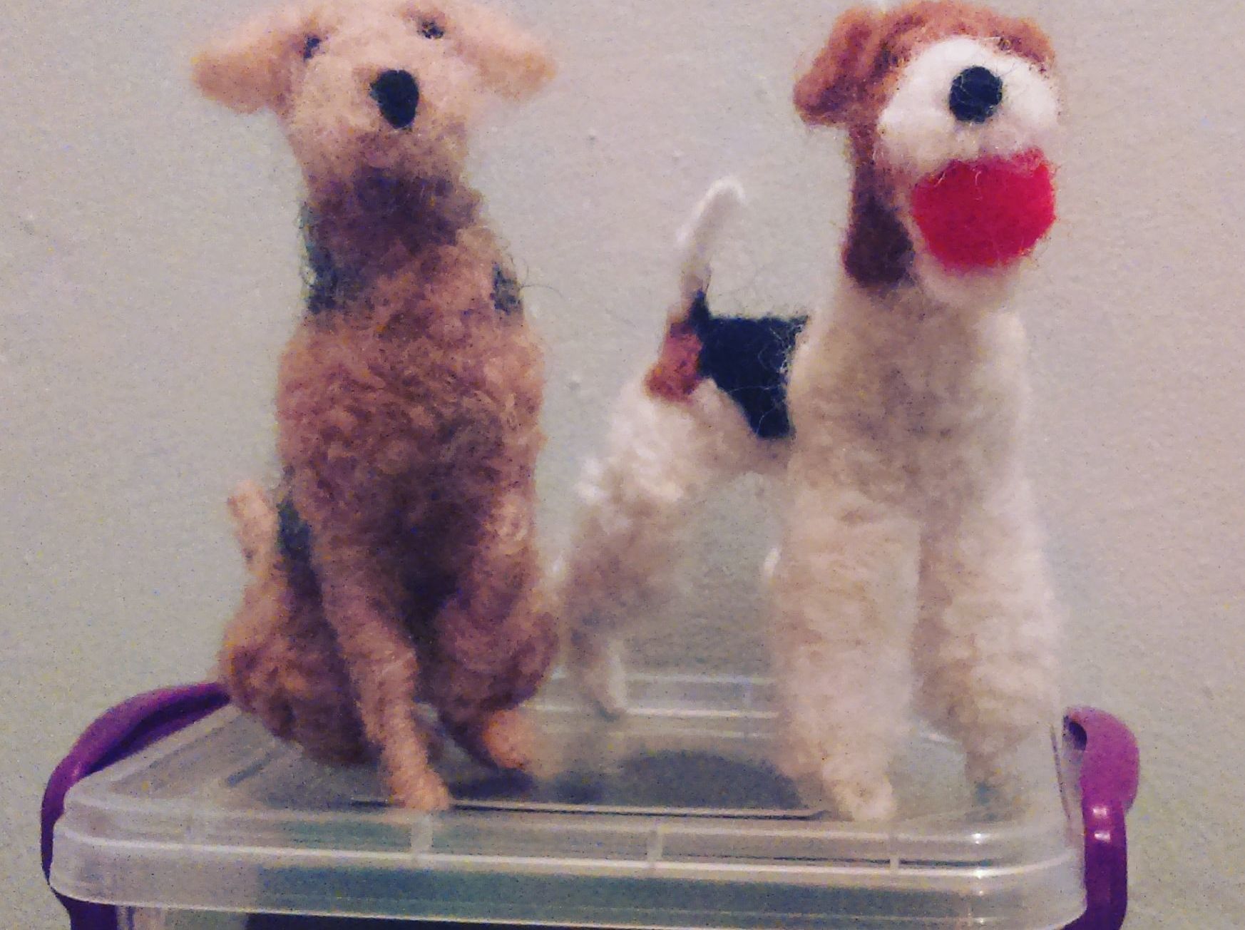 Needlefelt Wire Haired Fox Terrier