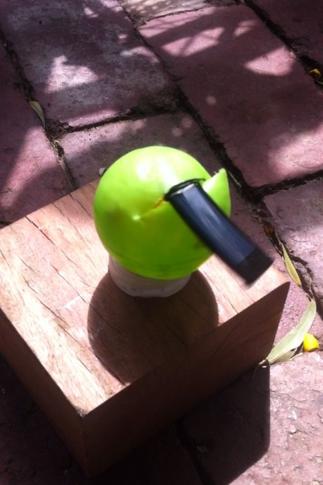 Solar Spin Ball