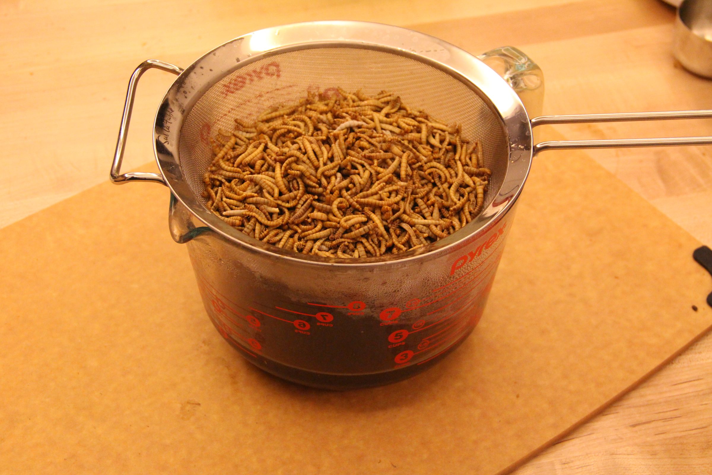 Insects for FoodPrep. 101 11 Steps (with Pictures) Instructables