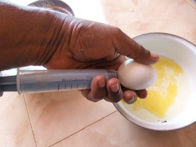 Empty the Egg Shells