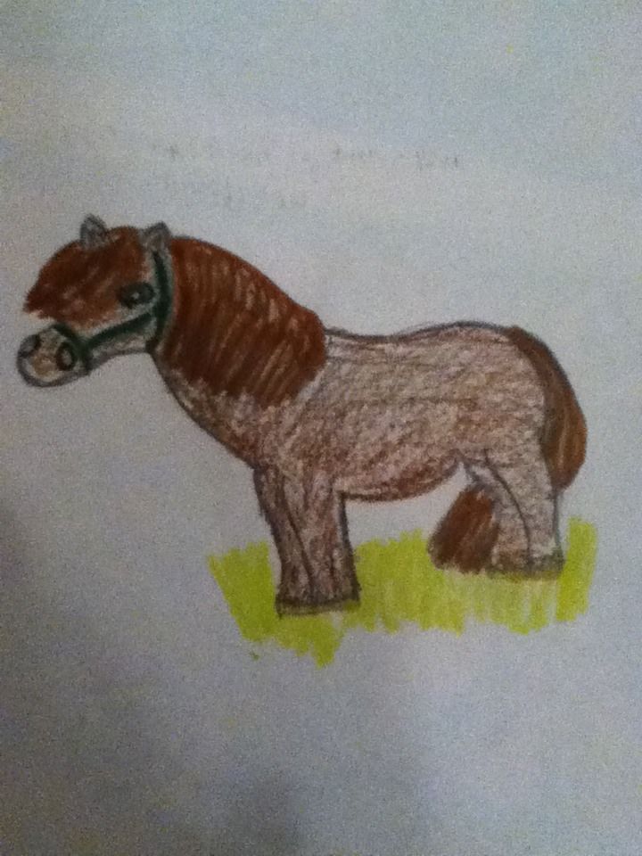 How To Draw A Pony