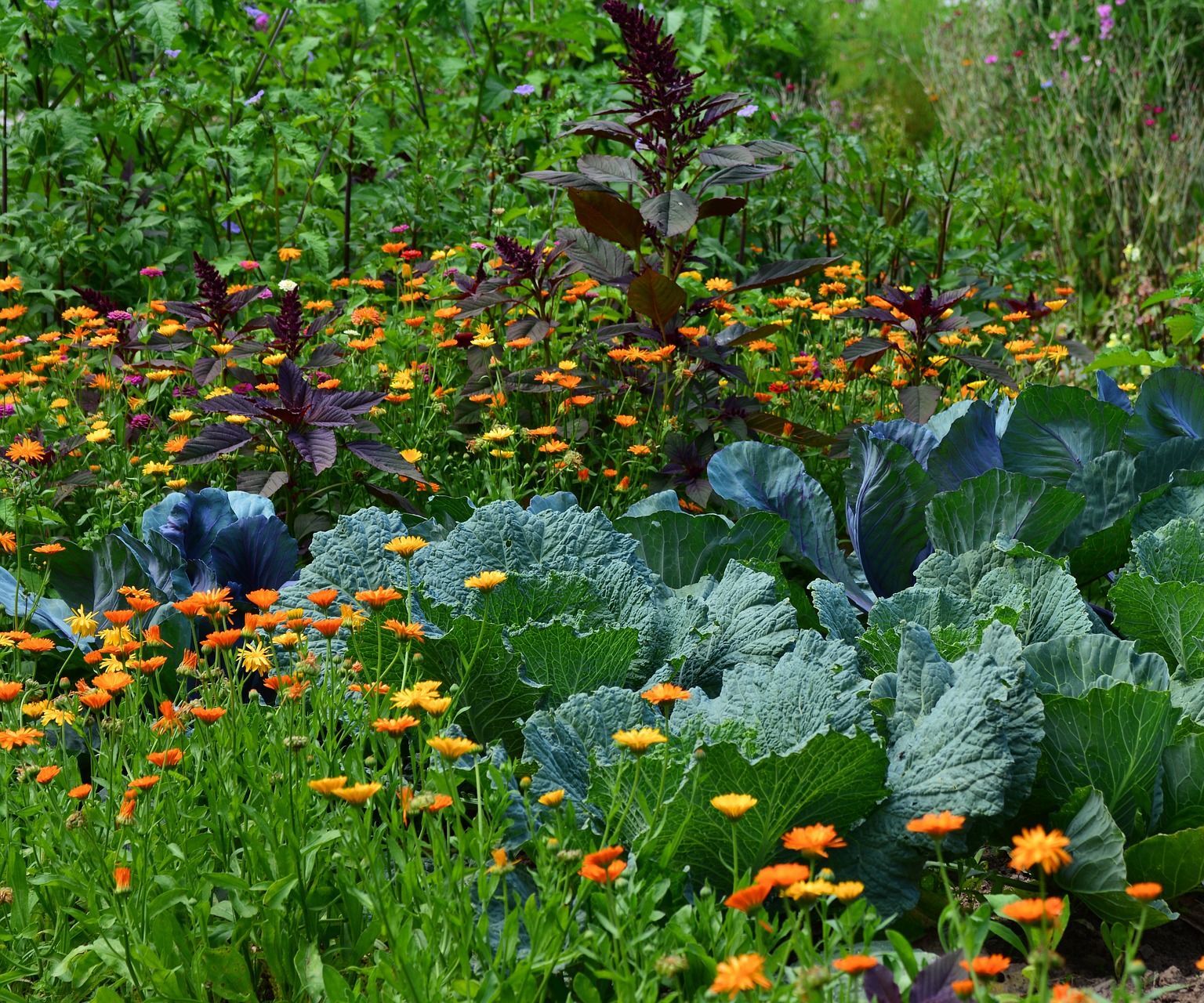 Arduino Based Irrigation System