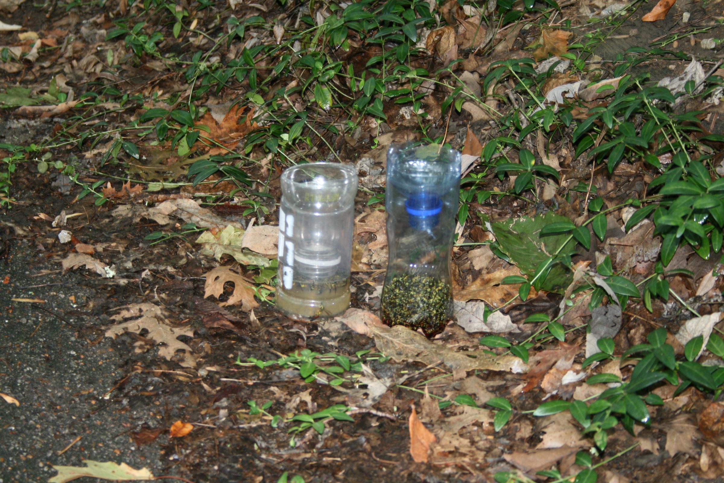 DIY Yellow Jacket Bottle Trap 8 Steps (with Pictures) Instructables