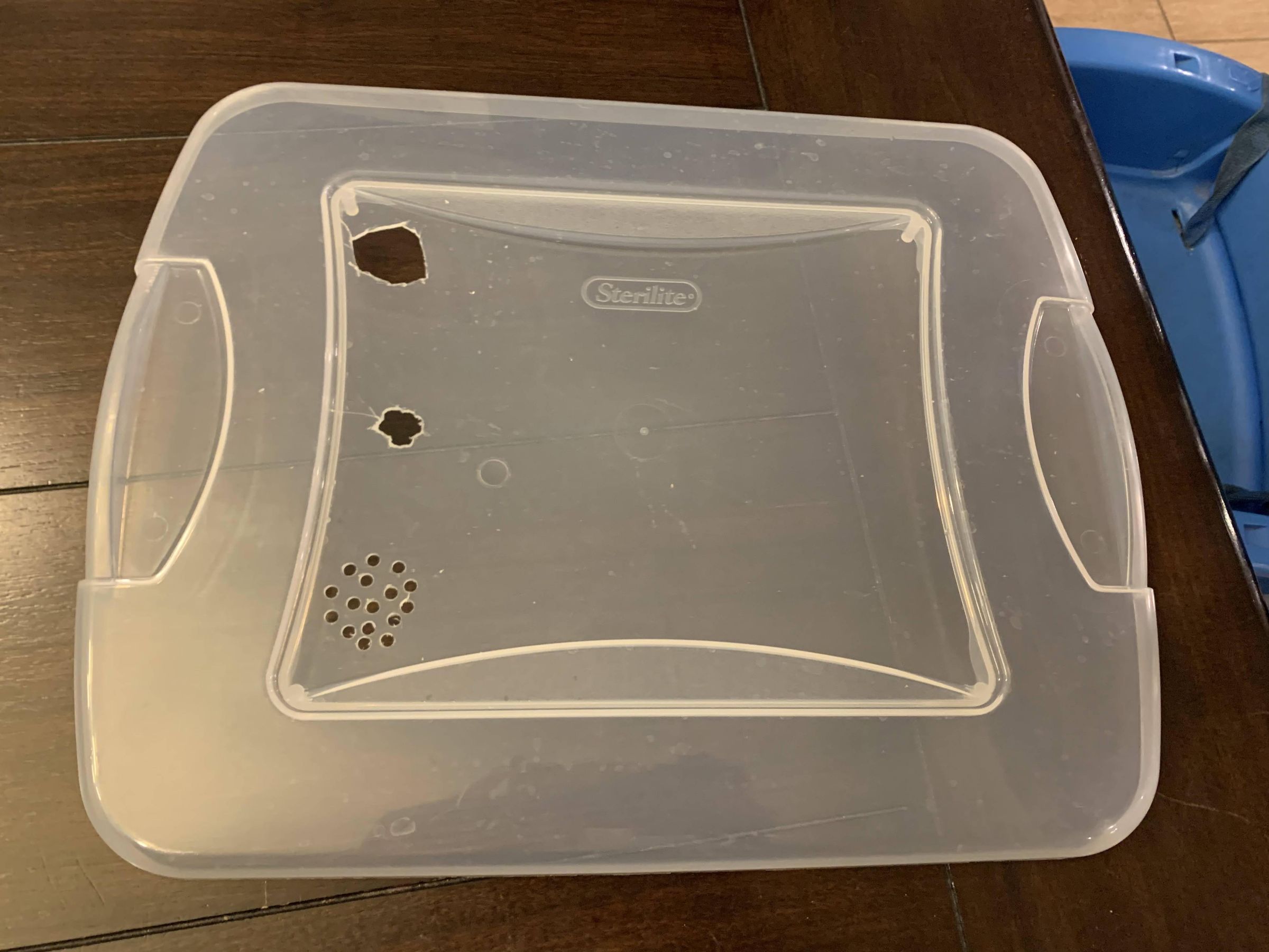 Automated Bioactive Tropical Reptile Vivarium (using Arduino) 7 Steps