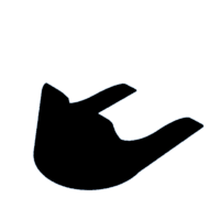 download {{ file.name }}
