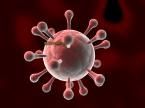 VIRUSES-WERE DO THEY COME FROM?