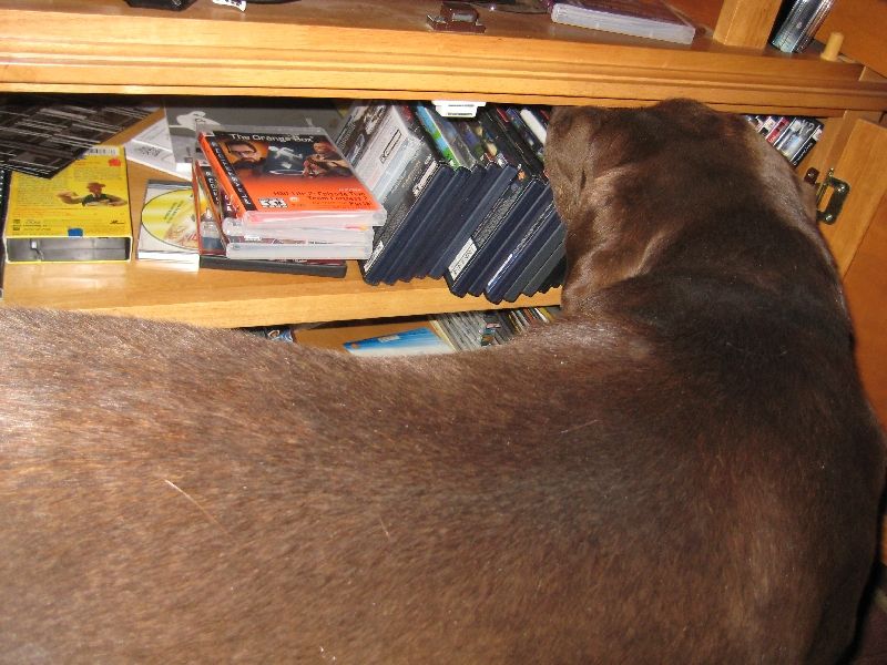 My Need for a Pull Out Tray/shelf for My Media Cabinet.