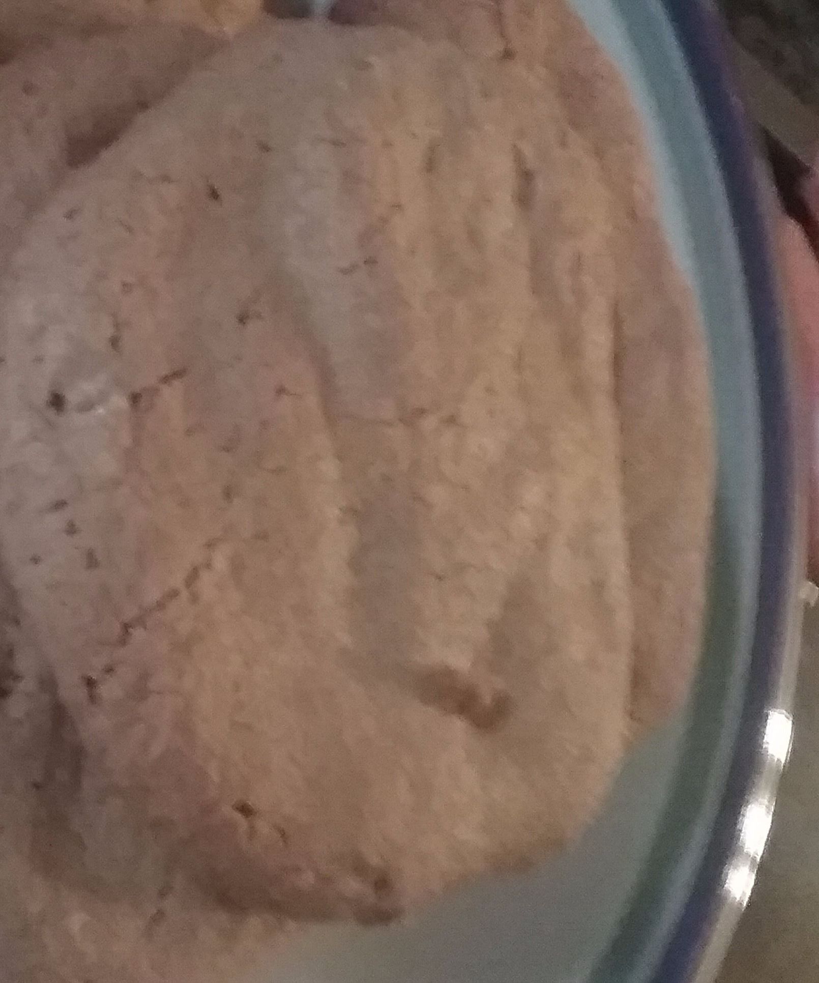 Allergy Friendly Nut Butter Cookies