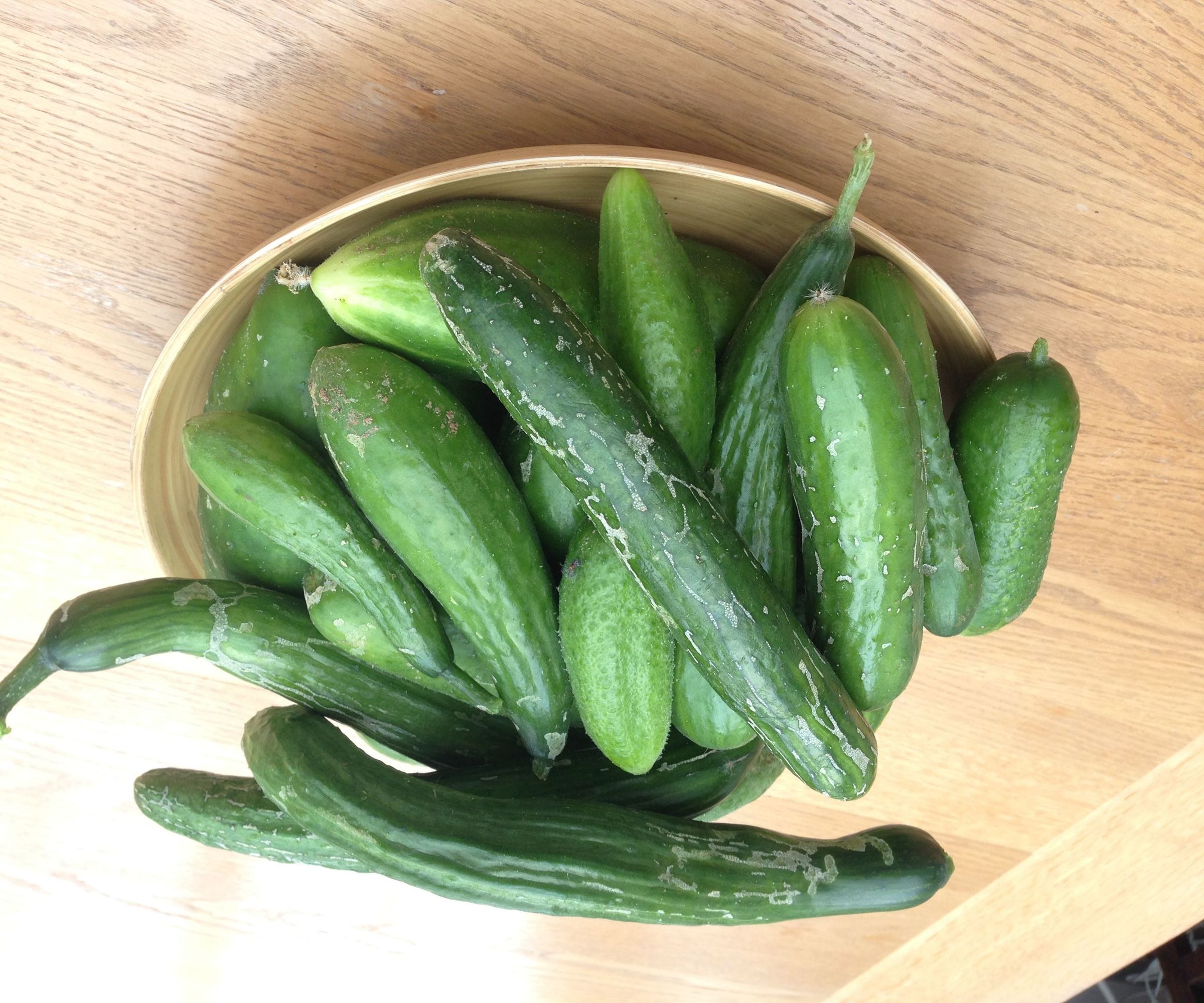 What to Do With Summer Cucumbers Surplus.