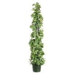 Potted plant on pole
