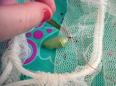 Safe Chrysalis Transfer