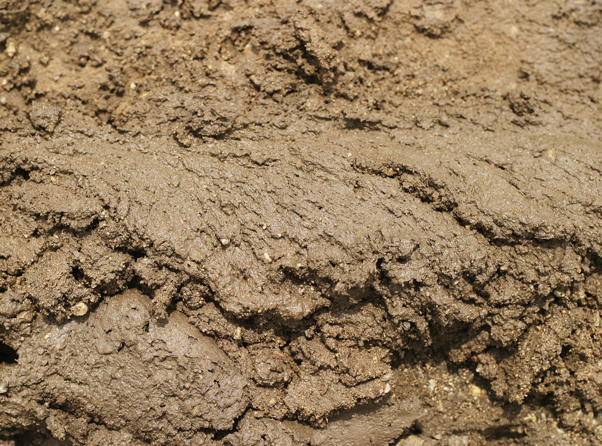 How to Lose an Instructables Contest