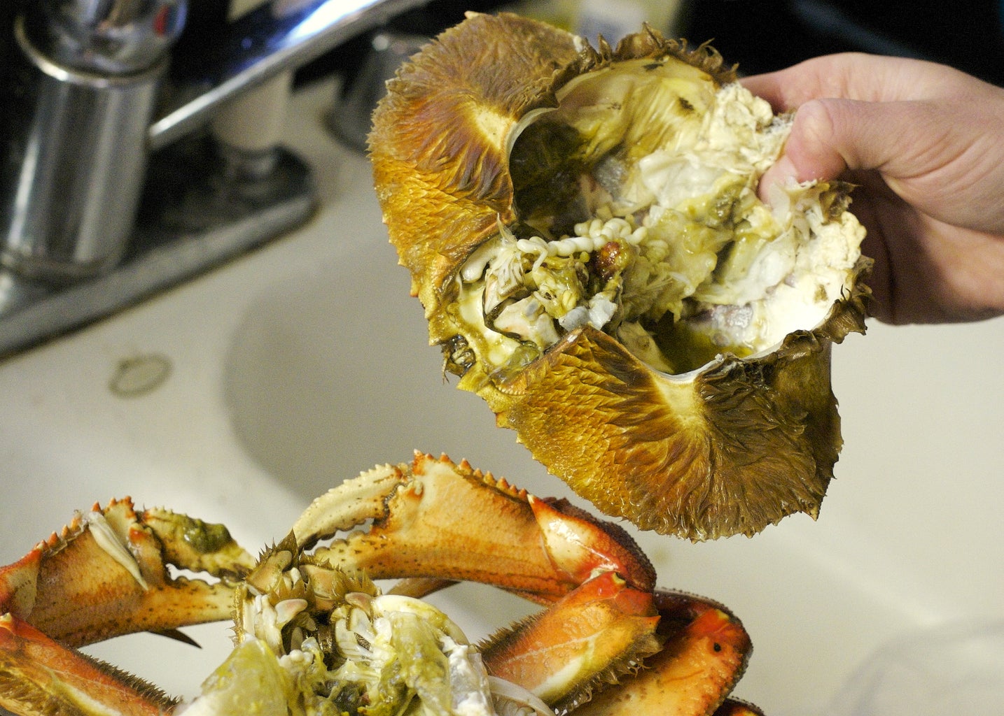 how do you eat dungeness crab