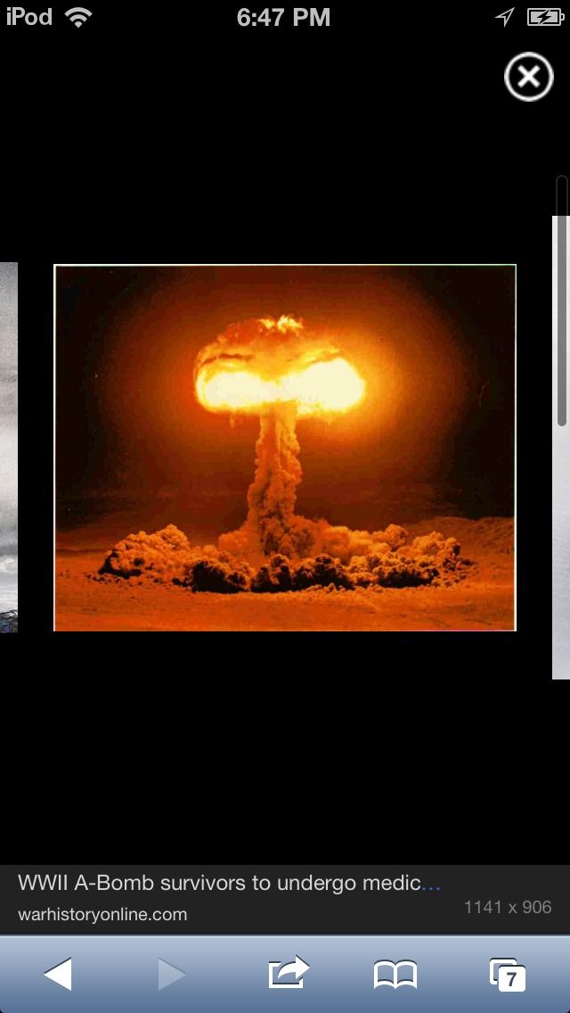 How to Potty Train Your Kitten! :)