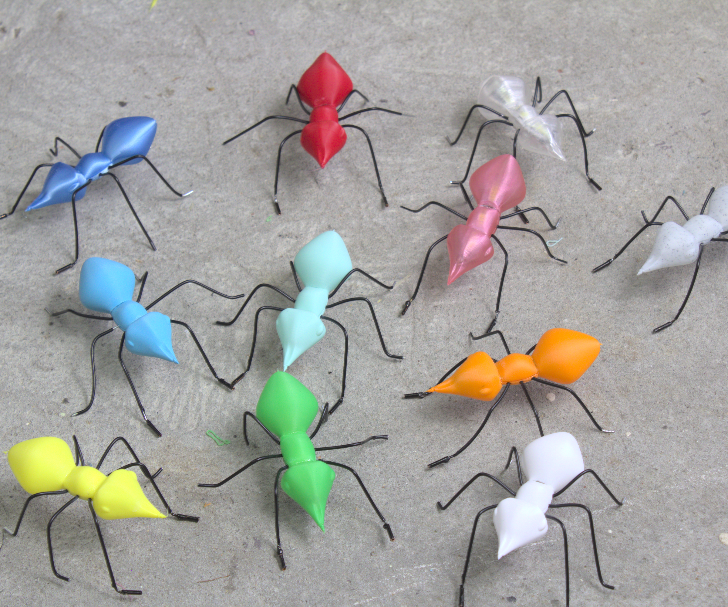 Ant Decorations Light Up at Night.