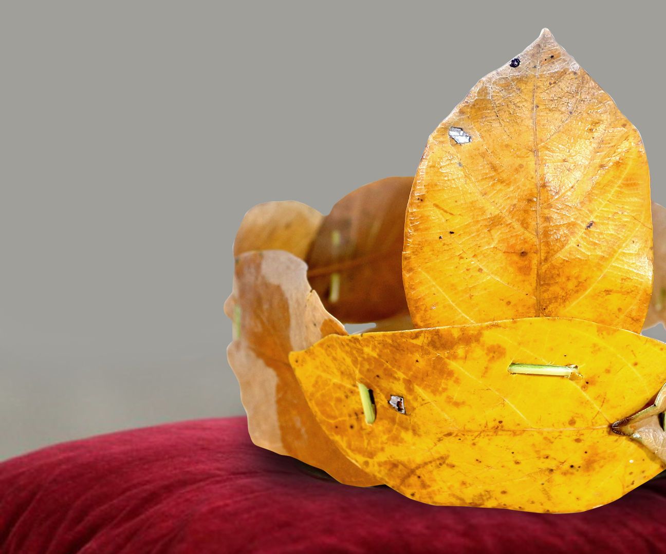 CROWN FROM JACK FRUIT LEAVES