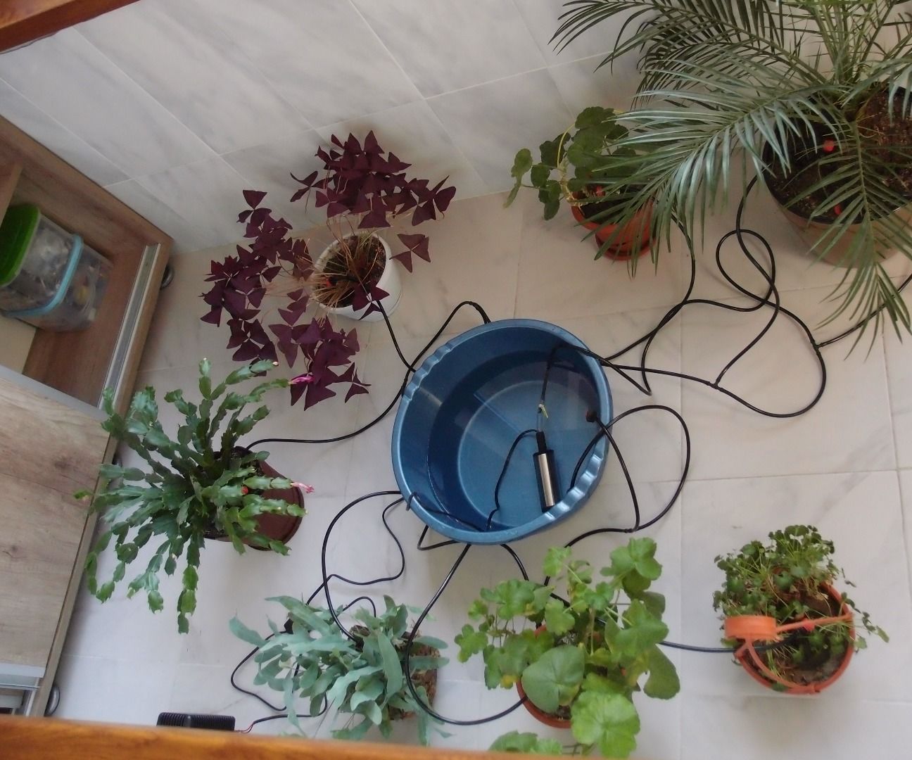 Micro Irrigation System for House Plants