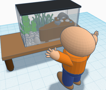 Research and Model an Exhibit or Habitat