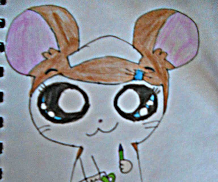 How to Draw Hamtaro Flora!