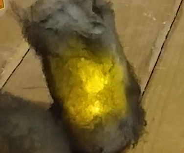 Wrecked Vehicle Markers