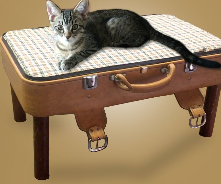 Suitcase Pet Bed 8 Steps (with Pictures) Instructables