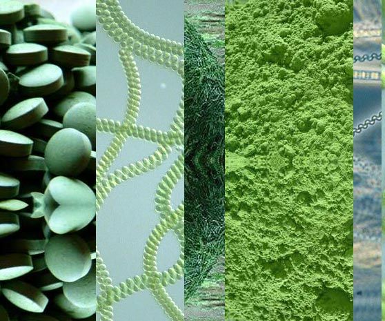 DOES IT PROTECT FROM RADIATION?