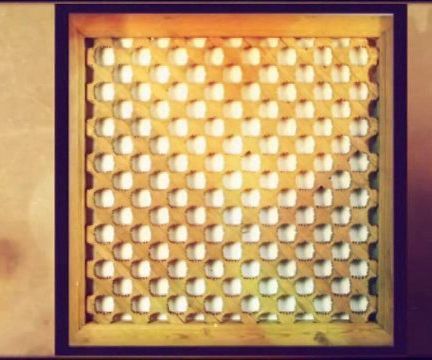 Antique Chinese Furniture