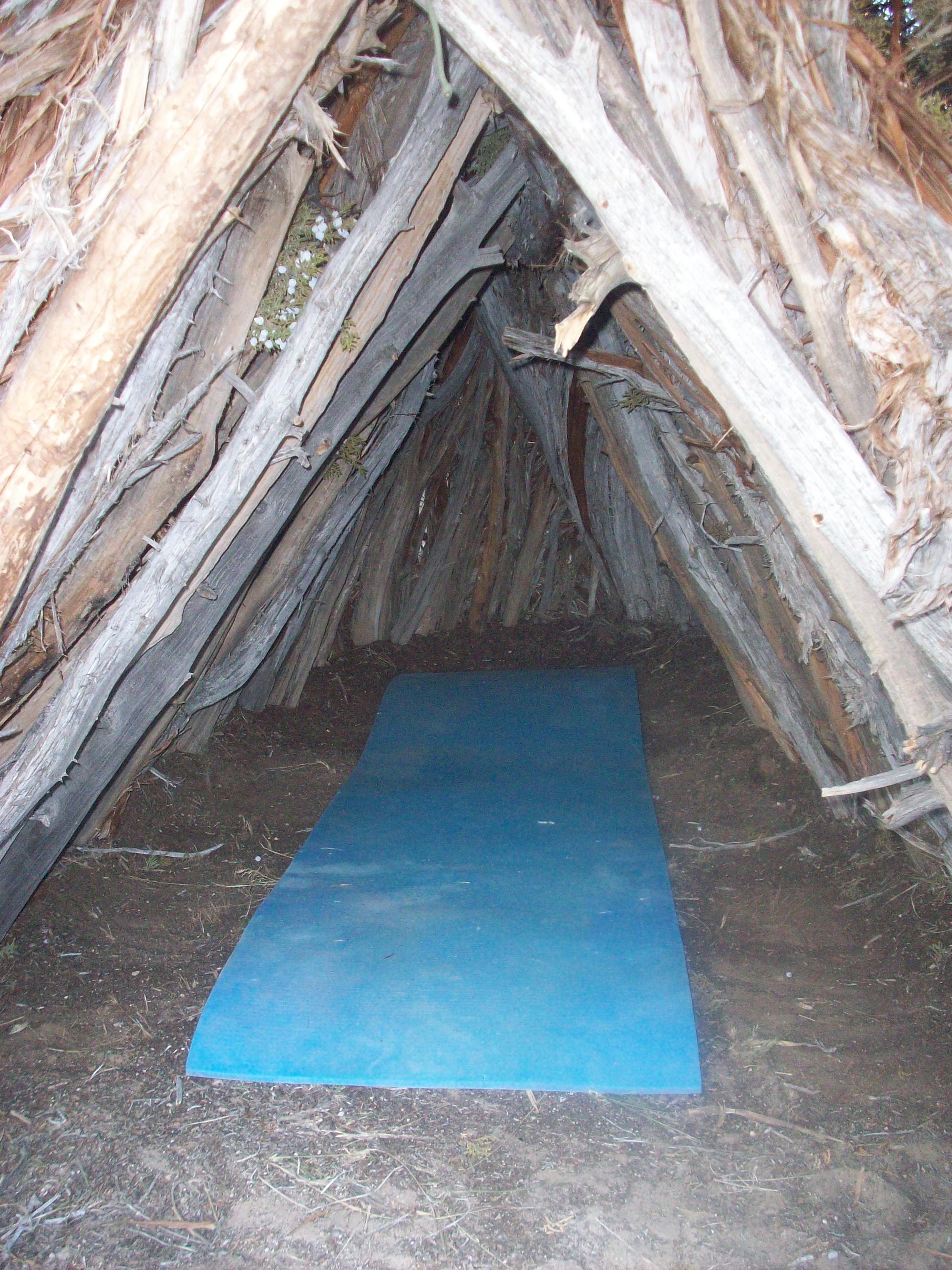 Aframe Survival Shelter 4 Steps (with Pictures) Instructables