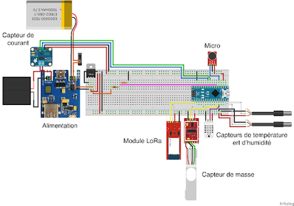 Electrical Schematic