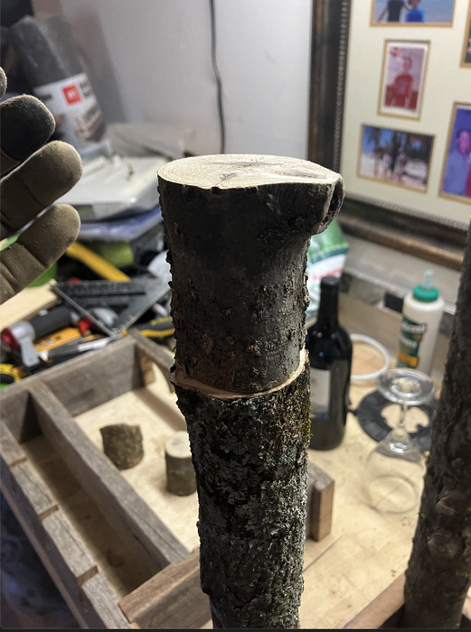 Rough Cut the Tree Branch Legs