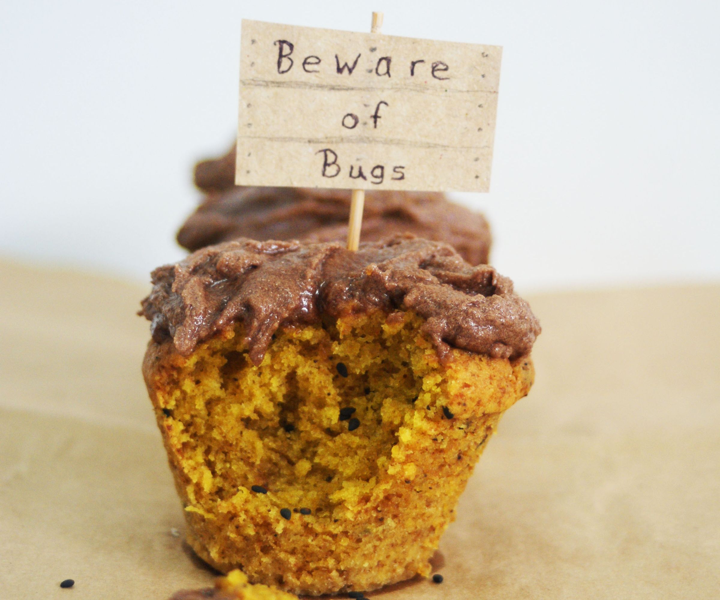 Pumpkin Cupcakes W. Bugs