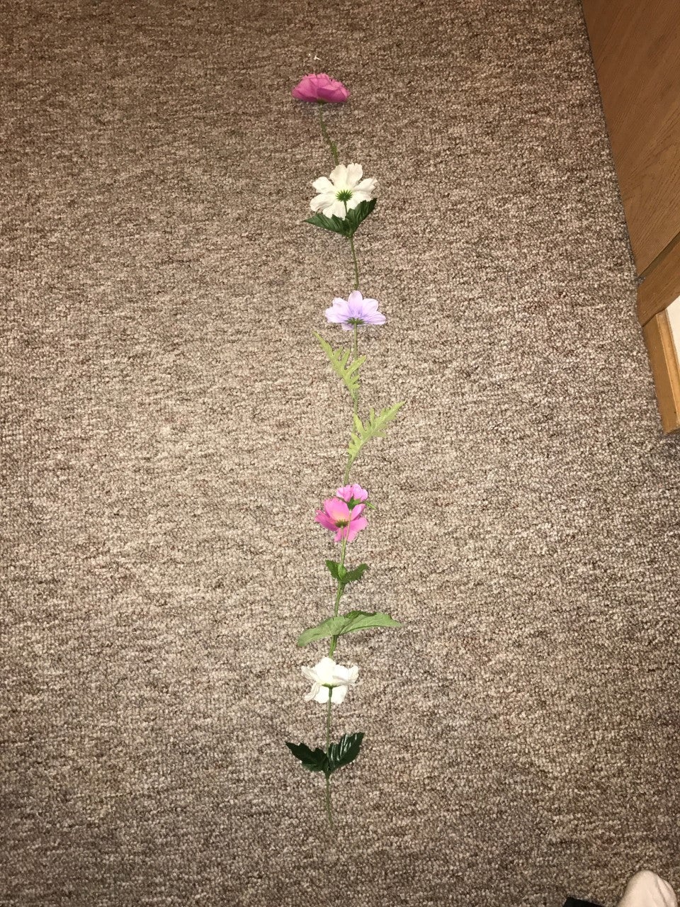 Measure and Cut Flowers