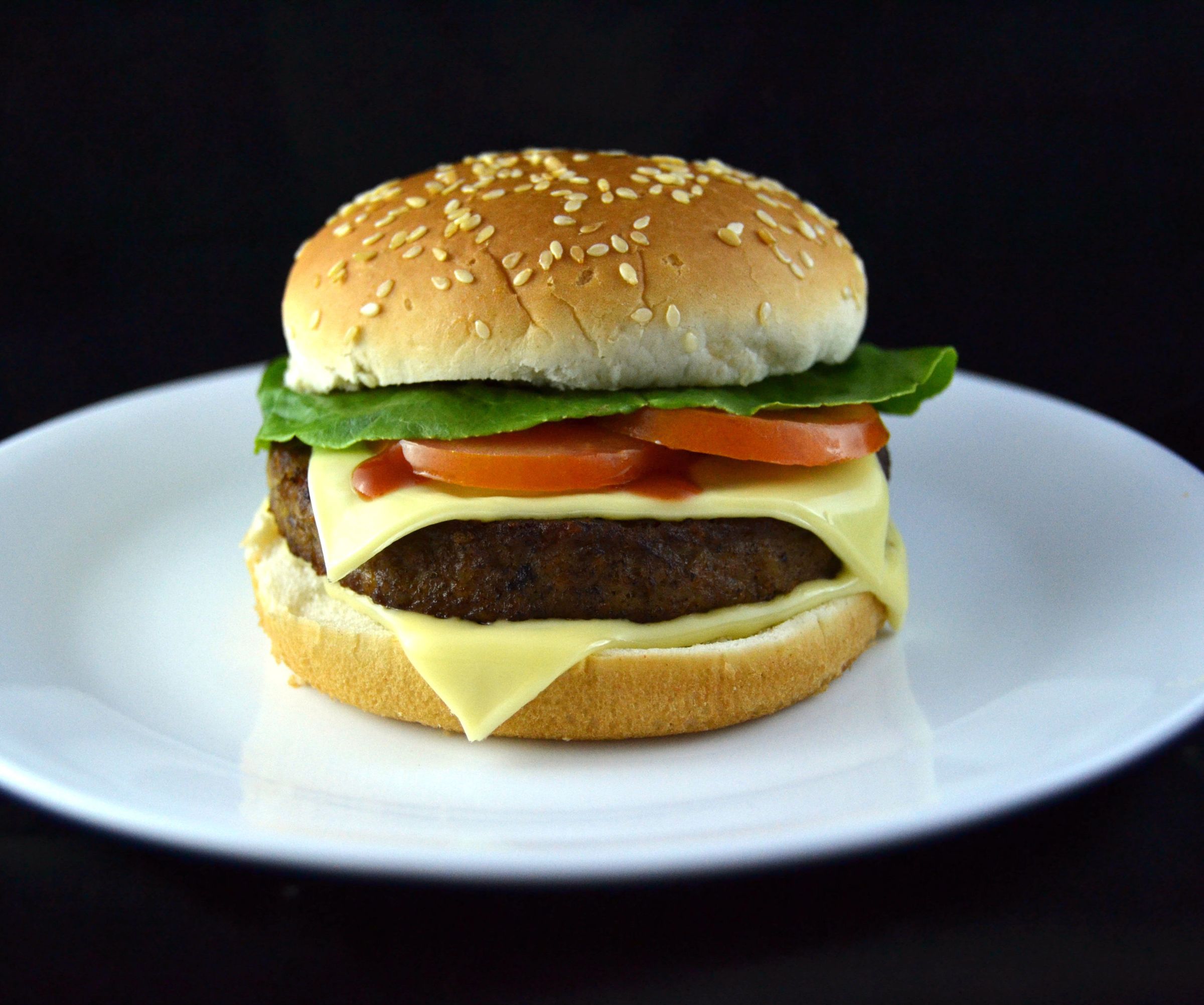 The Perfect Burger Photo
