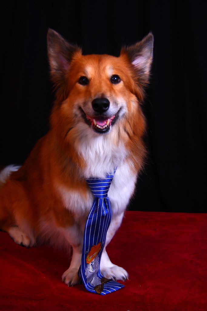 author