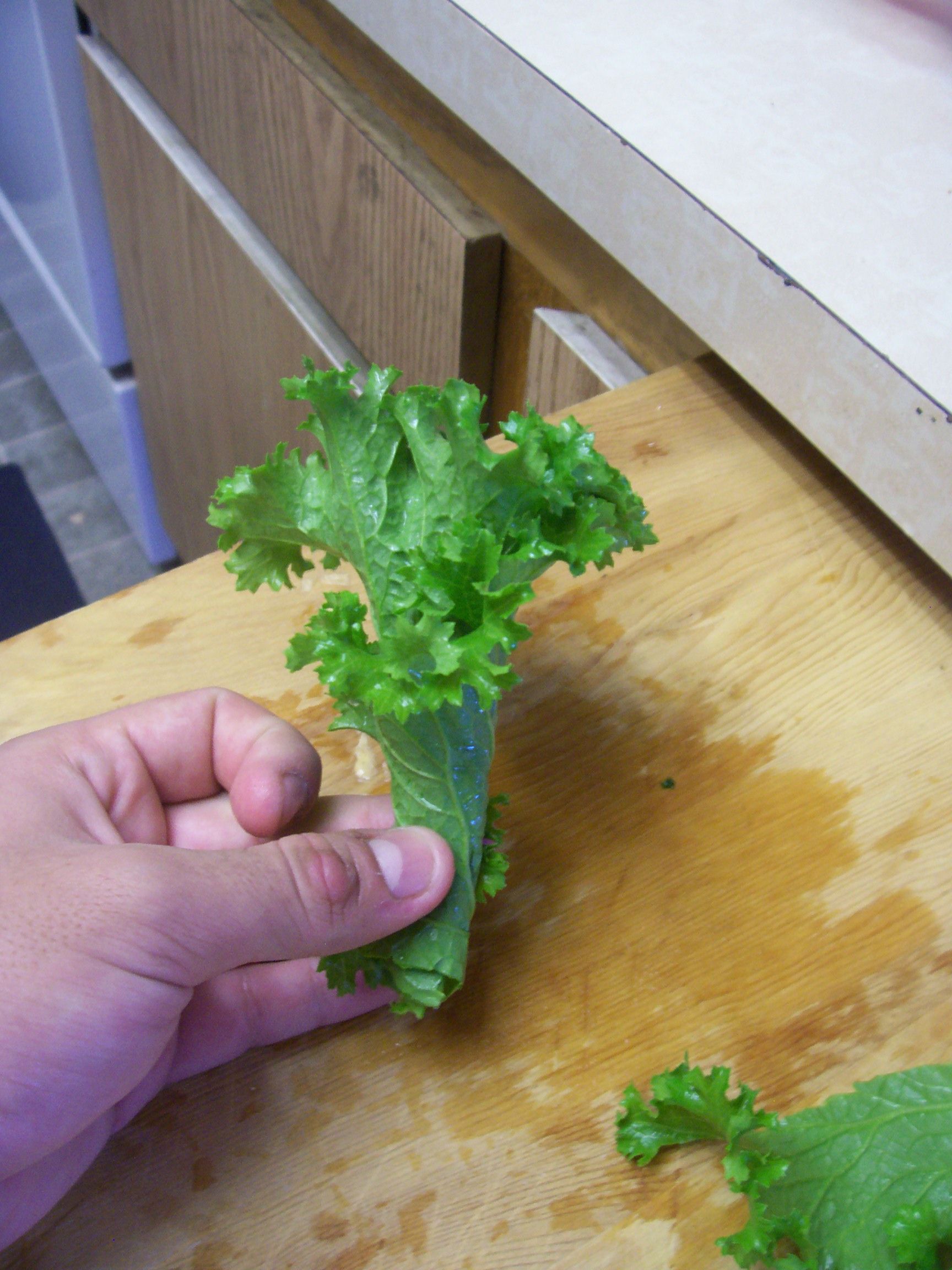 How to Make Salad for Bearded Dragons 6 Steps (with Pictures