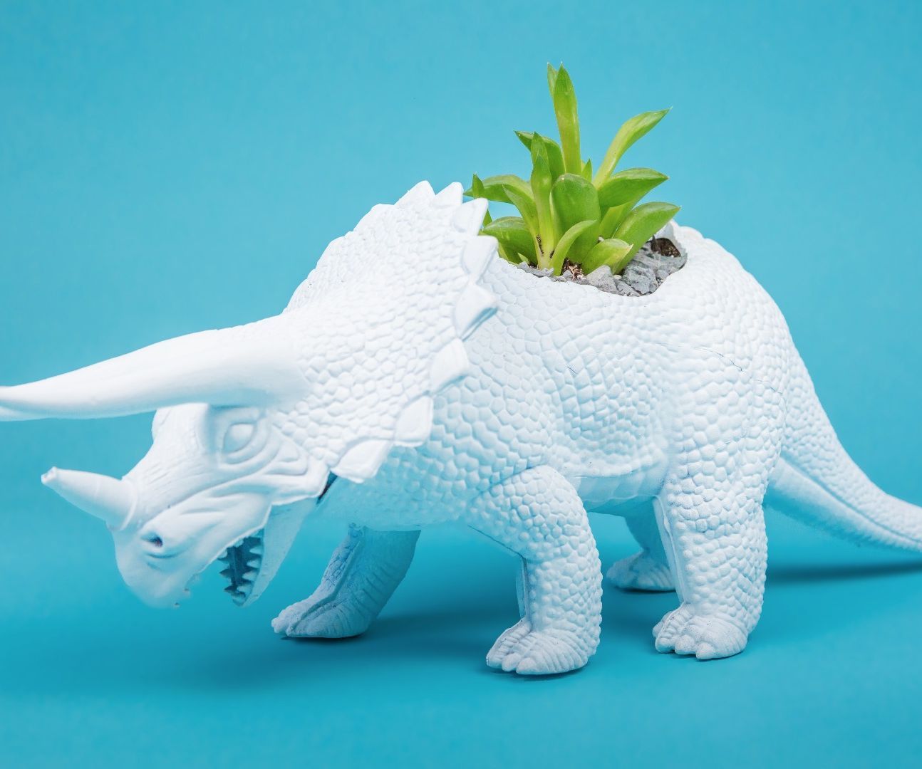 DIY Dinosaur Planters