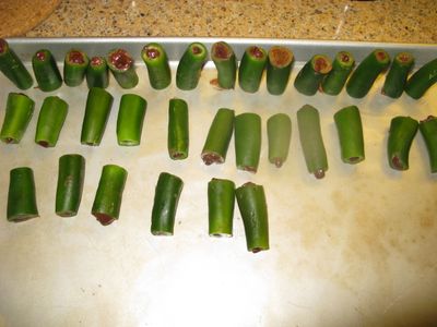 Stuffing the Chilies