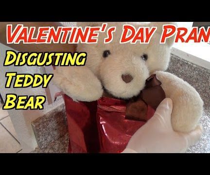 Valentine's Day Teddy Bear Guts