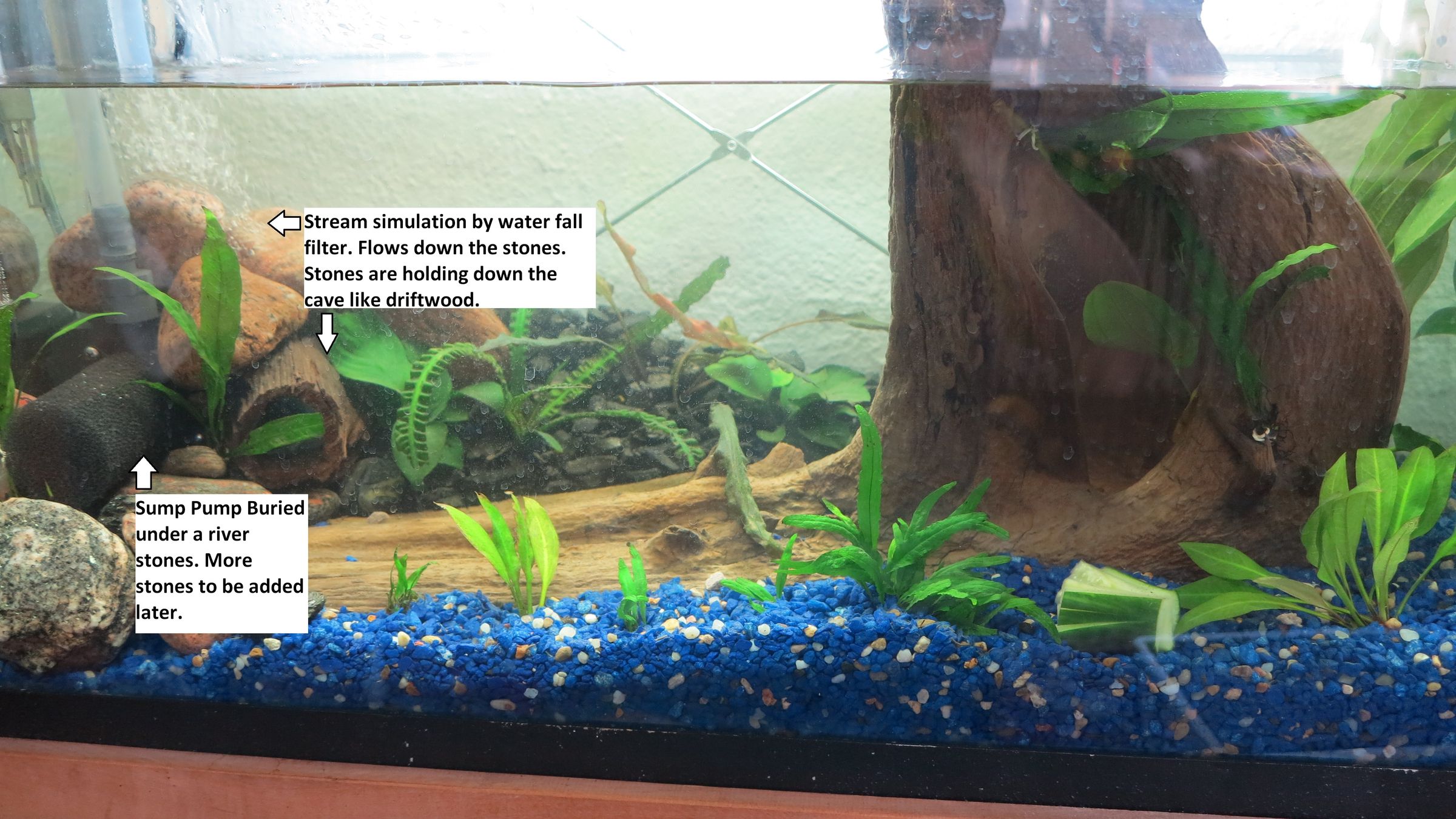 Ebb and Flow Aquaponics for the Office 12 Steps (with Pictures) Instructables