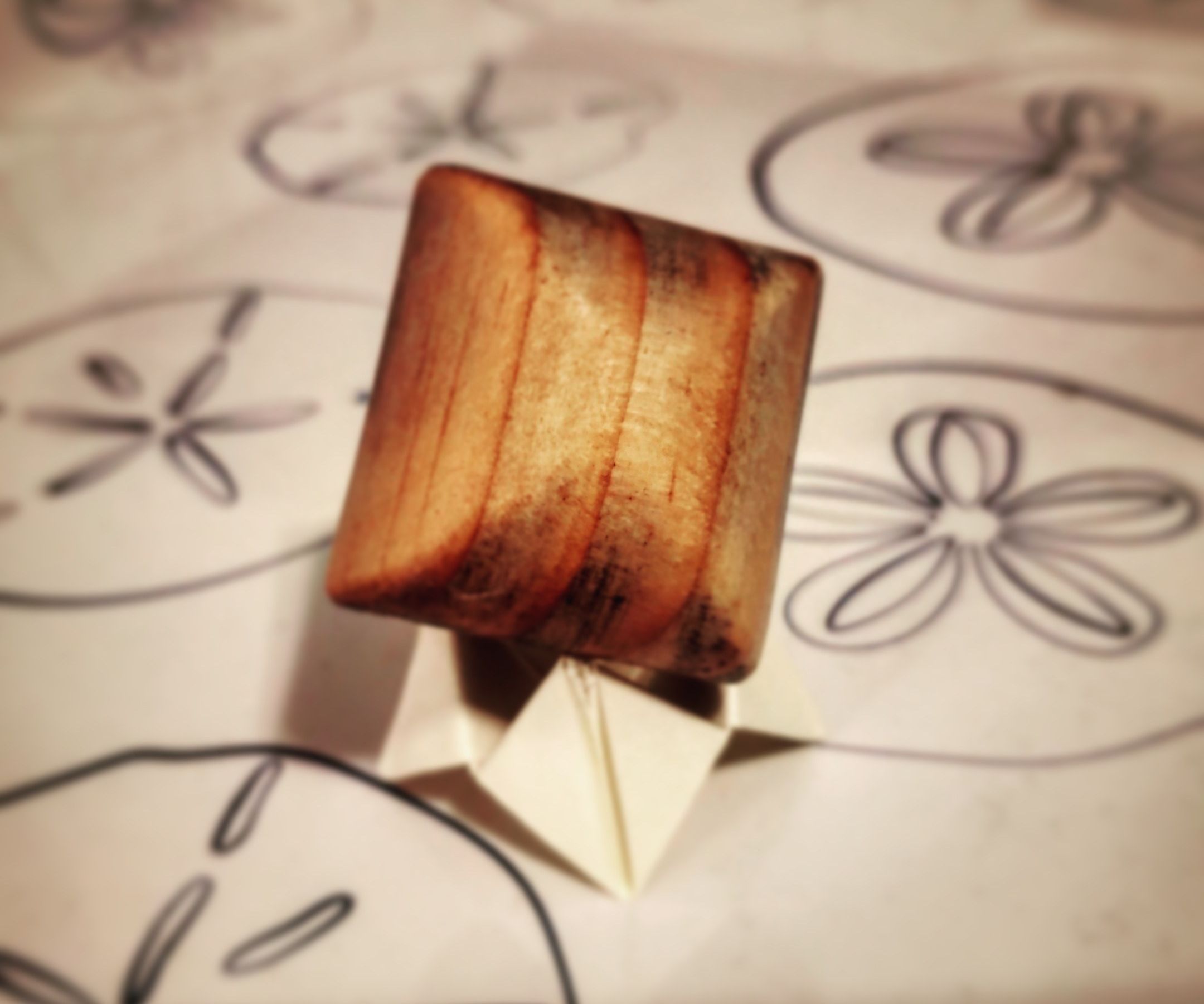 The Bicylinder: Steinmetz Solid With a 2 Way Restricted Rolling Path.