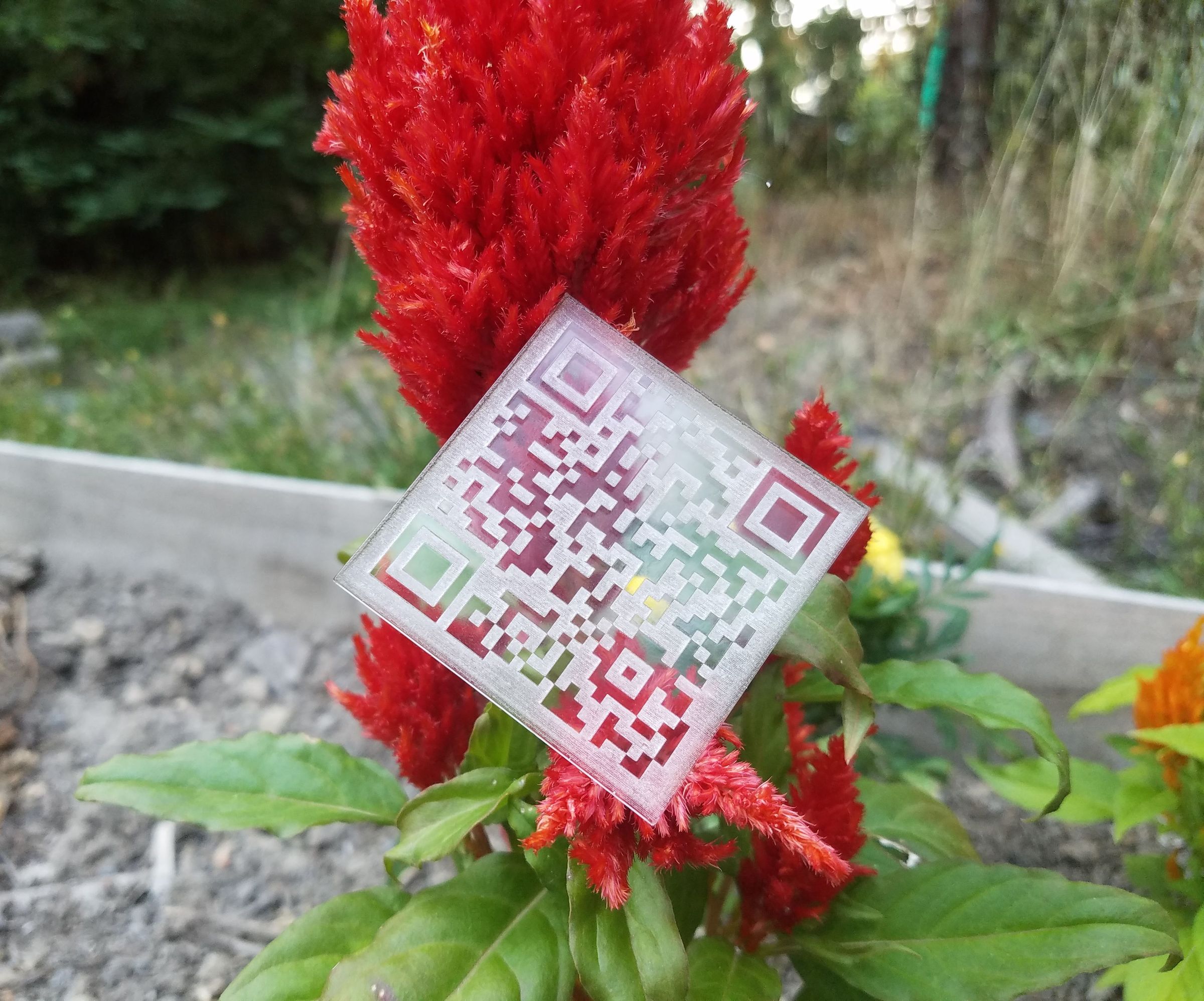 Laser Cut QR Codes