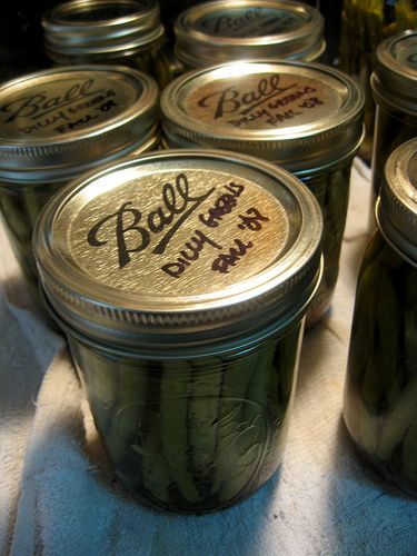 Canning Dilly Green Bean Pickles