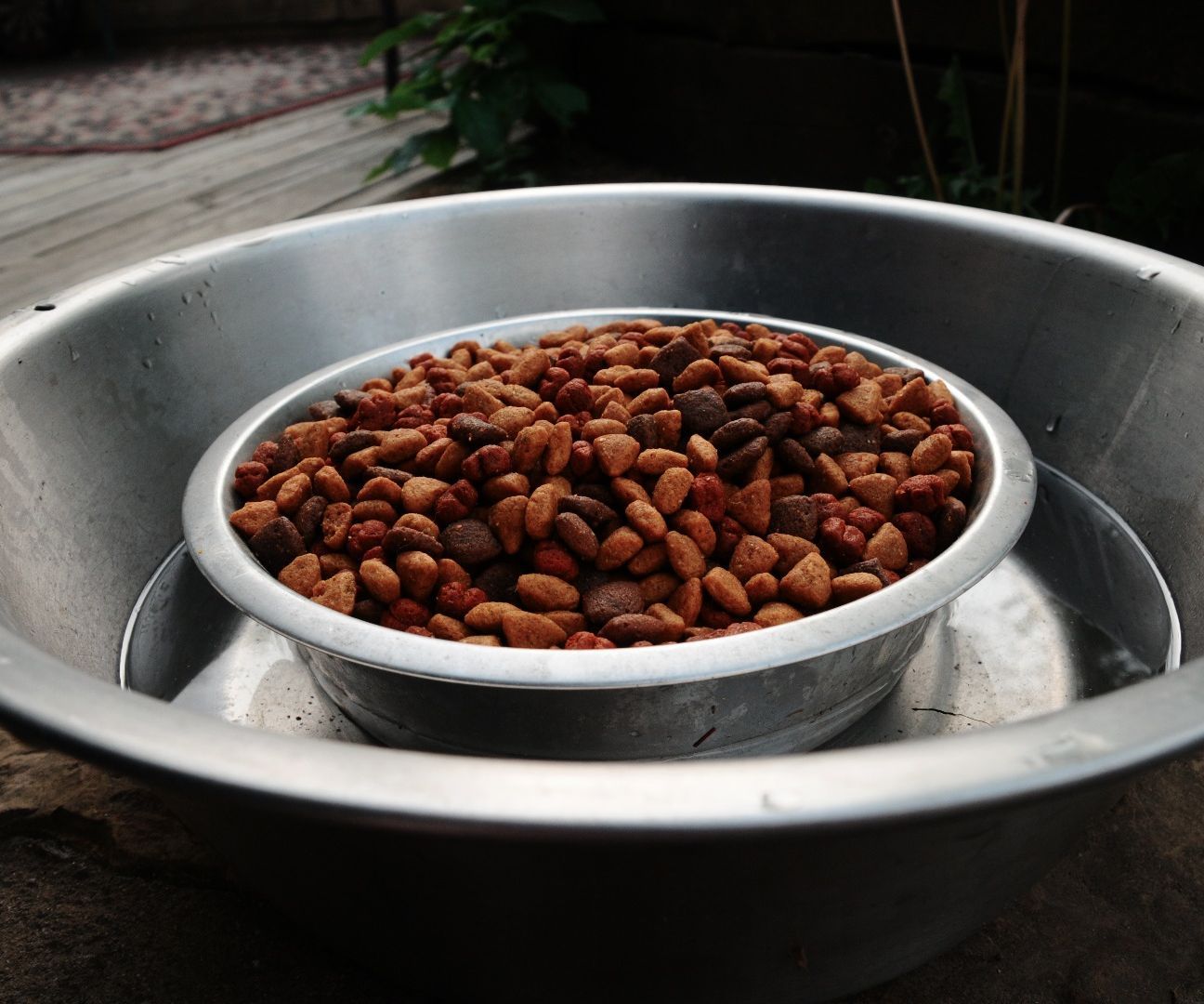 Combine Dog Food and Water Bowl to Defend Against Ants. Keeping Ants Out of Dog Food.